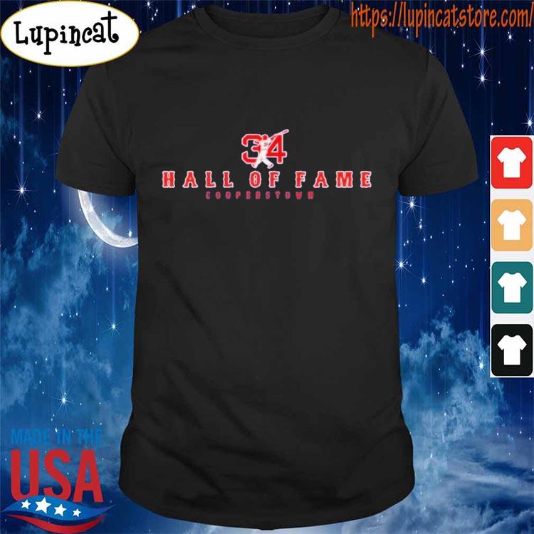 David Ortiz Papi 2022 Boston Sox Hall Of Fame Shirt, hoodie, sweater, long  sleeve and tank top